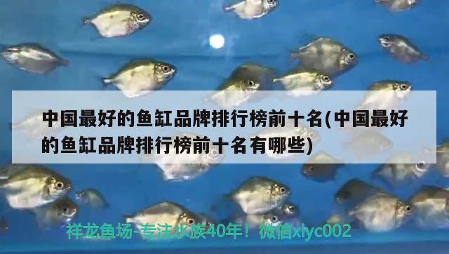 中國最好的魚缸品牌排行榜前十名(中國最好的魚缸品牌排行榜前十名有哪些)