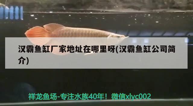 漢霸魚(yú)缸廠家地址在哪里呀(漢霸魚(yú)缸公司簡(jiǎn)介)