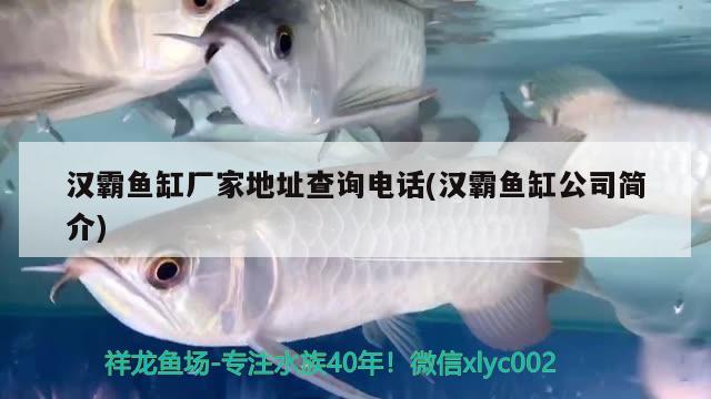 漢霸魚缸廠家地址查詢電話(漢霸魚缸公司簡介) 魚缸百科