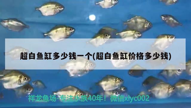 超白魚缸多少錢一個(超白魚缸價格多少錢) 充氧泵