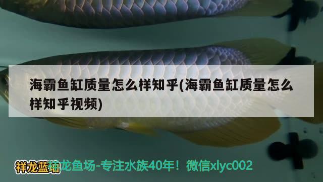 海霸魚缸質(zhì)量怎么樣知乎(海霸魚缸質(zhì)量怎么樣知乎視頻)