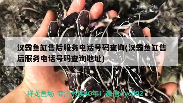 漢霸魚缸售后服務(wù)電話號碼查詢(漢霸魚缸售后服務(wù)電話號碼查詢地址)