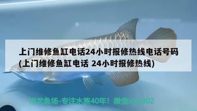 上門維修魚缸電話24小時(shí)報(bào)修熱線電話號(hào)碼(上門維修魚缸電話24小時(shí)報(bào)修熱線)