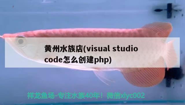 黃州水族店(visualstudiocode怎么創(chuàng)建php)