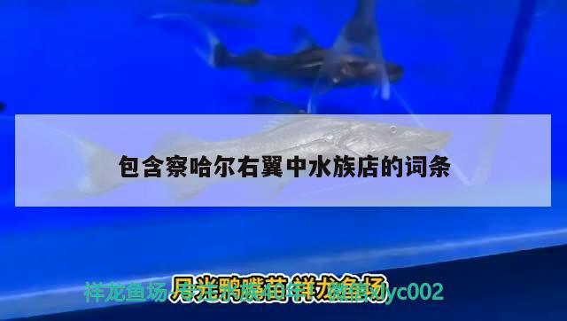 包含察哈爾右翼中水族店的詞條 紅龍魚百科