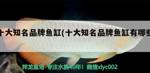 十大知名品牌魚缸(十大知名品牌魚缸有哪些) 魚缸百科