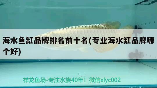 海水魚缸品牌排名前十名(專業(yè)海水缸品牌哪個好)