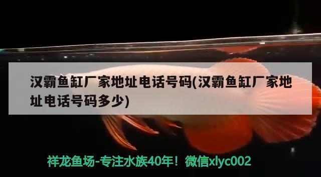 漢霸魚缸廠家地址電話號碼(漢霸魚缸廠家地址電話號碼多少) 魚缸百科