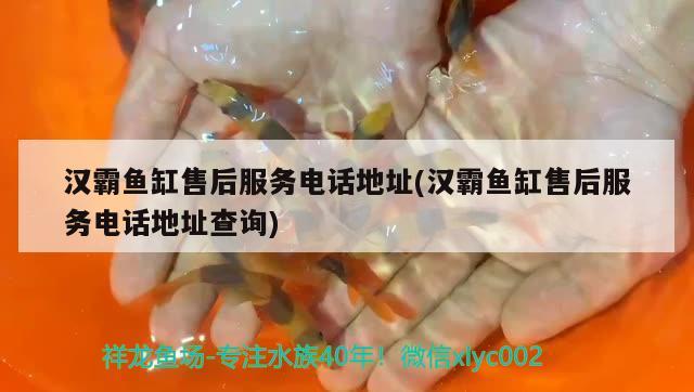 漢霸魚缸售后服務電話地址(漢霸魚缸售后服務電話地址查詢)