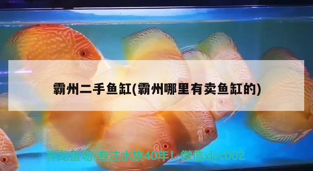 霸州二手魚缸(霸州哪里有賣魚缸的)