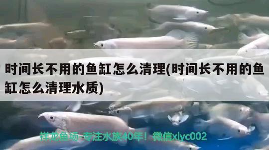 時間長不用的魚缸怎么清理(時間長不用的魚缸怎么清理水質(zhì)) 黑桃A魚