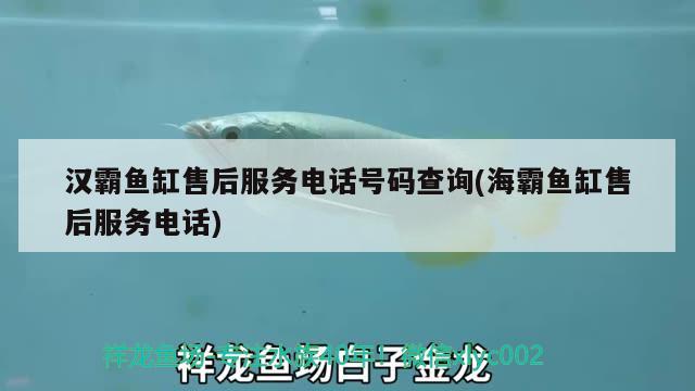 漢霸魚缸售后服務(wù)電話號碼查詢(海霸魚缸售后服務(wù)電話)