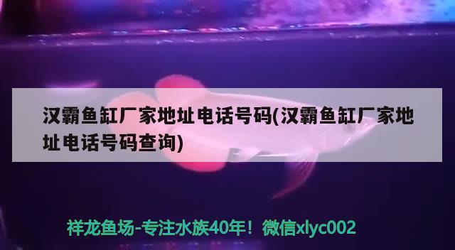 漢霸魚(yú)缸廠家地址電話號(hào)碼(漢霸魚(yú)缸廠家地址電話號(hào)碼查詢) 魚(yú)缸百科