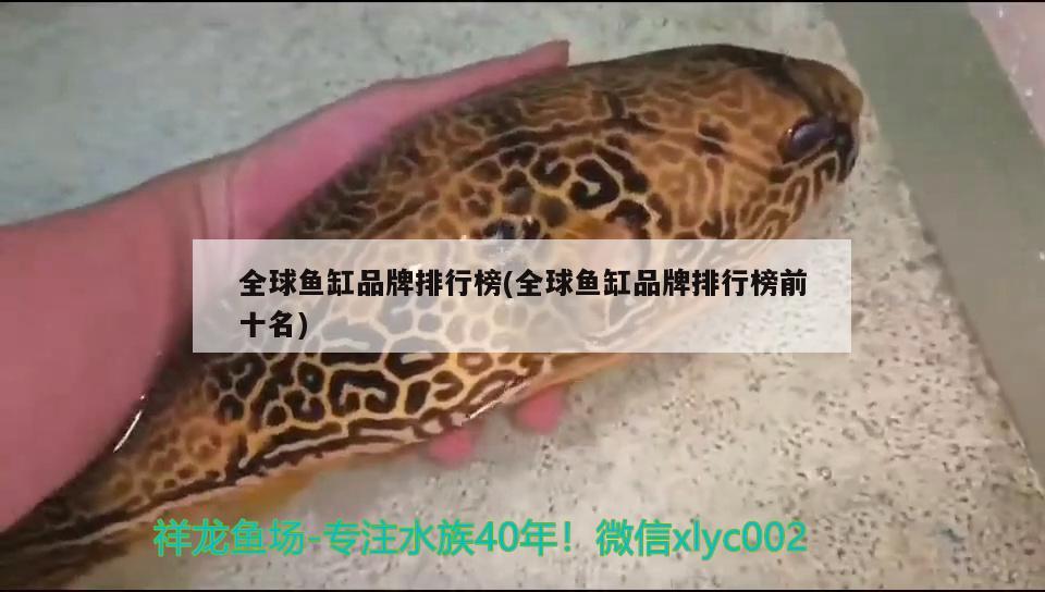 全球魚缸品牌排行榜(全球魚缸品牌排行榜前十名) 魚缸百科