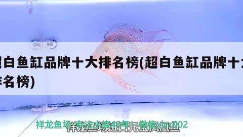 超白魚缸品牌十大排名榜(超白魚缸品牌十大排名榜)