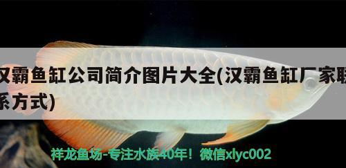 漢霸魚缸公司簡(jiǎn)介圖片大全(漢霸魚缸廠家聯(lián)系方式) 魚缸百科