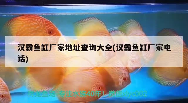 漢霸魚缸廠家地址查詢大全(漢霸魚缸廠家電話) 魚缸百科