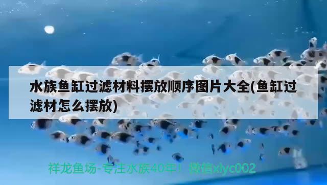 水族魚缸過濾材料擺放順序圖片大全(魚缸過濾材怎么擺放)