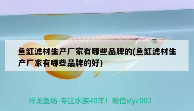 魚(yú)缸濾材生產(chǎn)廠(chǎng)家有哪些品牌的(魚(yú)缸濾材生產(chǎn)廠(chǎng)家有哪些品牌的好) 觀(guān)賞魚(yú)進(jìn)出口