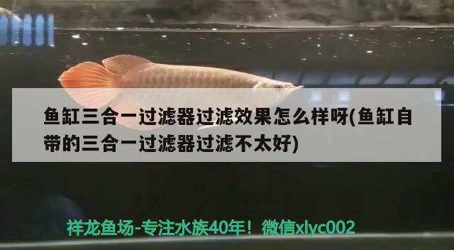 魚缸三合一過(guò)濾器過(guò)濾效果怎么樣呀(魚缸自帶的三合一過(guò)濾器過(guò)濾不太好) 錦鯉魚