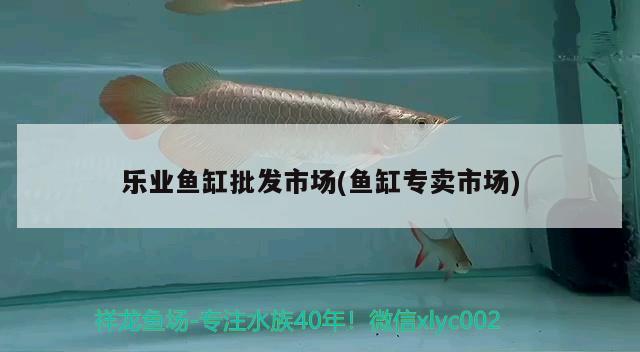 樂業(yè)魚缸批發(fā)市場(chǎng)(魚缸專賣市場(chǎng)) 祥龍傳奇品牌魚缸