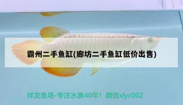 霸州二手魚缸(廊坊二手魚缸低價出售)