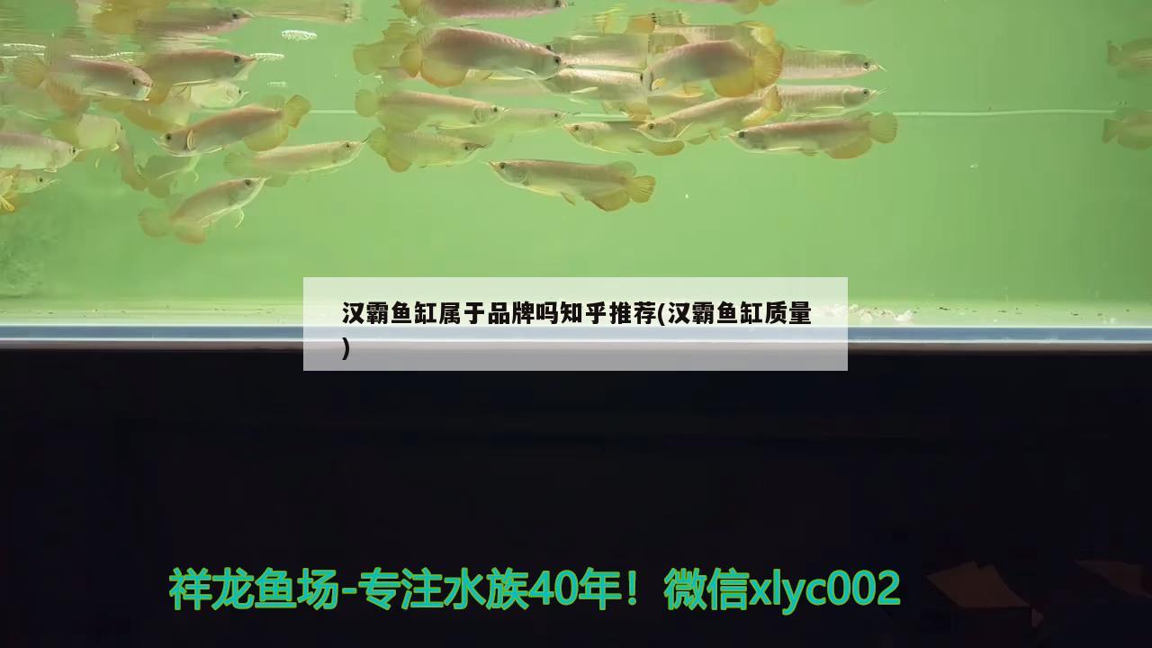 漢霸魚缸屬于品牌嗎知乎推薦(漢霸魚缸質(zhì)量)