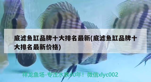 底濾魚缸品牌十大排名最新(底濾魚缸品牌十大排名最新價格) 魚缸百科