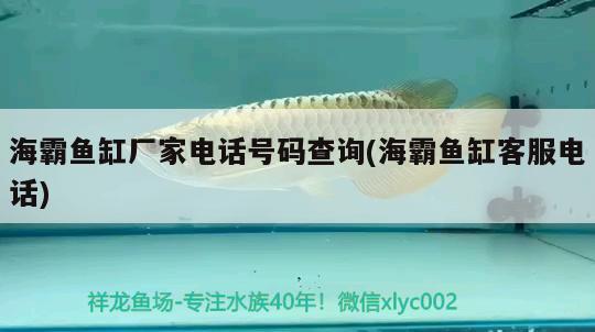 海霸魚缸廠家電話號碼查詢(海霸魚缸客服電話) 魚缸百科