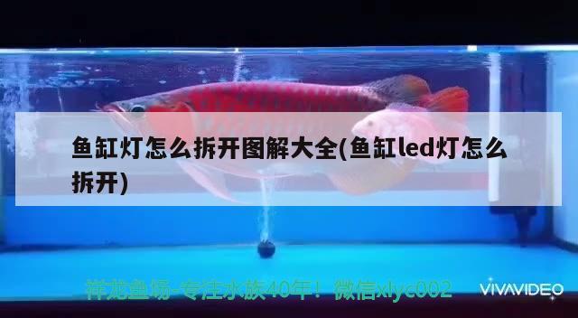 魚缸燈怎么拆開圖解大全(魚缸led燈怎么拆開) 觀賞魚飼料