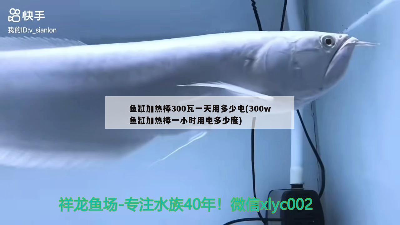 魚缸加熱棒300瓦一天用多少電(300w魚缸加熱棒一小時(shí)用電多少度) 銀古魚苗