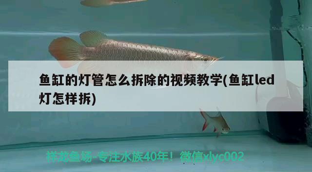 魚缸的燈管怎么拆除的視頻教學(xué)(魚缸led燈怎樣拆) 觀賞魚飼料