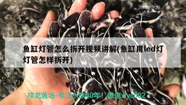 魚缸燈管怎么拆開視頻講解(魚缸用led燈燈管怎樣拆開)