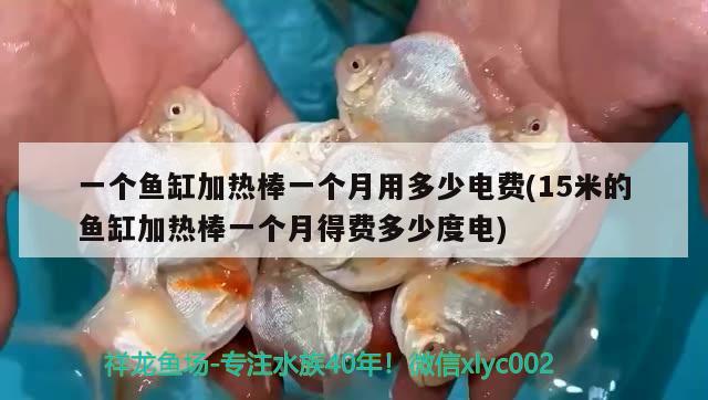 一個魚缸加熱棒一個月用多少電費(15米的魚缸加熱棒一個月得費多少度電)