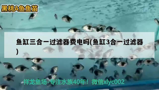 魚缸三合一過(guò)濾器費(fèi)電嗎(魚缸3合一過(guò)濾器) 野生地圖魚