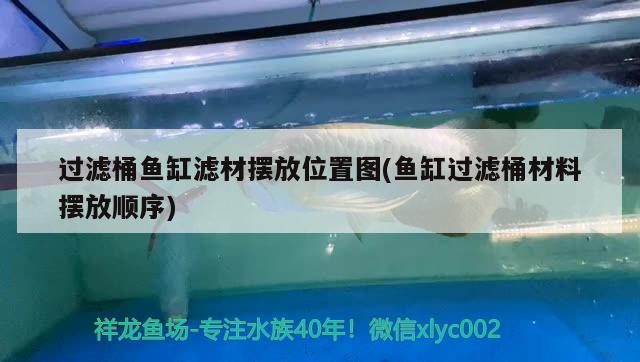 過(guò)濾桶魚(yú)缸濾材擺放位置圖(魚(yú)缸過(guò)濾桶材料擺放順序)