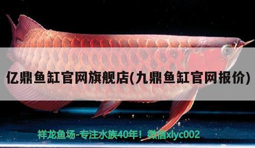 億鼎魚缸官網(wǎng)旗艦店(九鼎魚缸官網(wǎng)報(bào)價(jià)) 印尼虎苗