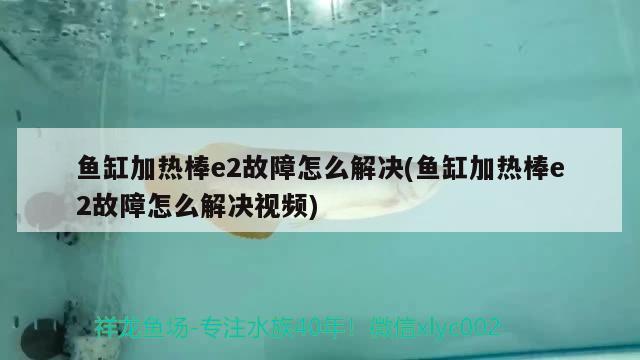 魚缸加熱棒e2故障怎么解決(魚缸加熱棒e2故障怎么解決視頻) 黃寬帶蝴蝶魚