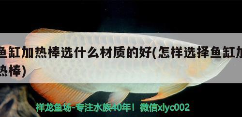 魚缸加熱棒選什么材質(zhì)的好(怎樣選擇魚缸加熱棒) 紅龍魚百科