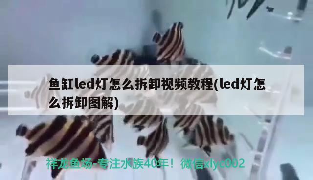 魚缸led燈怎么拆卸視頻教程(led燈怎么拆卸圖解)