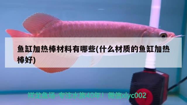 魚缸加熱棒材料有哪些(什么材質的魚缸加熱棒好) 印尼虎苗