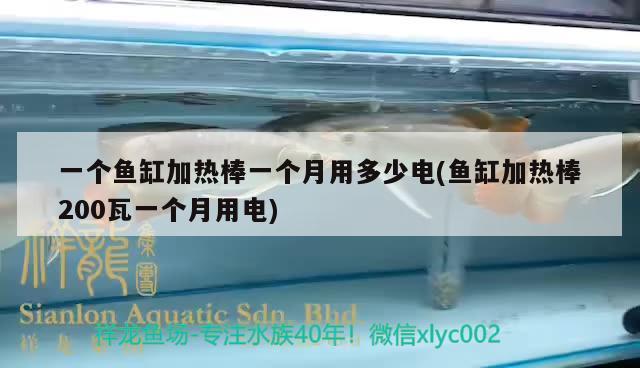 一個(gè)魚(yú)缸加熱棒一個(gè)月用多少電(魚(yú)缸加熱棒200瓦一個(gè)月用電) 白子球鯊魚(yú)