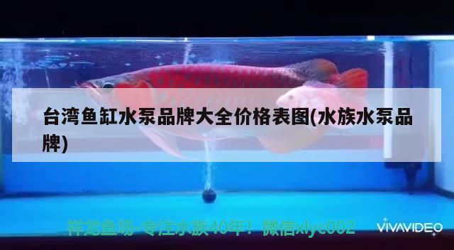 臺(tái)灣魚缸水泵品牌大全價(jià)格表圖(水族水泵品牌) 魚缸水泵