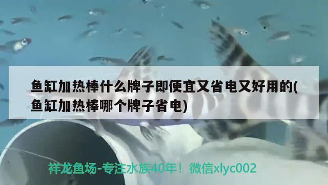 魚缸加熱棒什么牌子即便宜又省電又好用的(魚缸加熱棒哪個牌子省電)