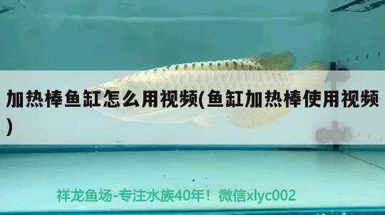 加熱棒魚(yú)缸怎么用視頻(魚(yú)缸加熱棒使用視頻) 過(guò)背金龍魚(yú)