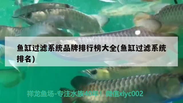 魚缸過(guò)濾系統(tǒng)品牌排行榜大全(魚缸過(guò)濾系統(tǒng)排名) 福滿鉆魚