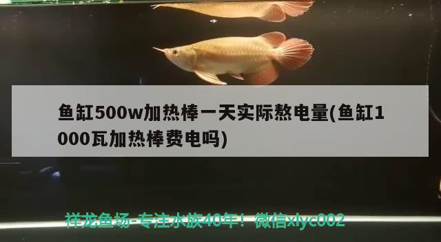 魚缸500w加熱棒一天實際熬電量(魚缸1000瓦加熱棒費電嗎) 藍帆三間魚