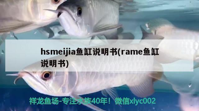 hsmeijia魚缸說明書(rame魚缸說明書) 野生埃及神仙魚