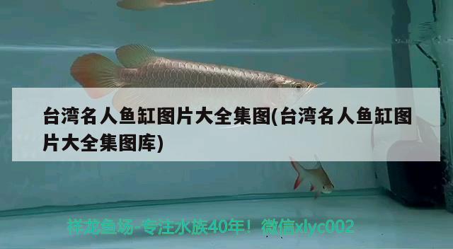 臺(tái)灣名人魚缸圖片大全集圖(臺(tái)灣名人魚缸圖片大全集圖庫(kù))