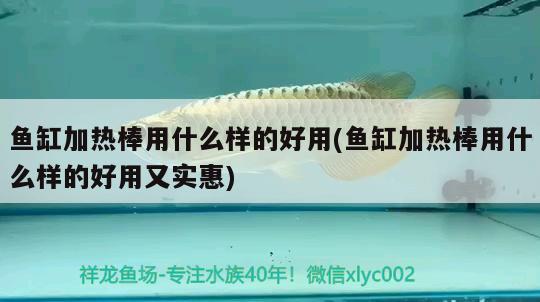 魚缸加熱棒用什么樣的好用(魚缸加熱棒用什么樣的好用又實惠) 七紋巨鯉魚